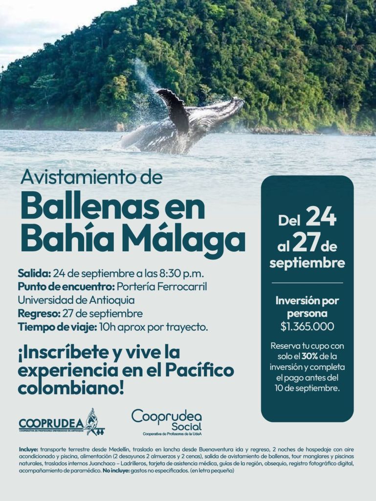 BALLENAS